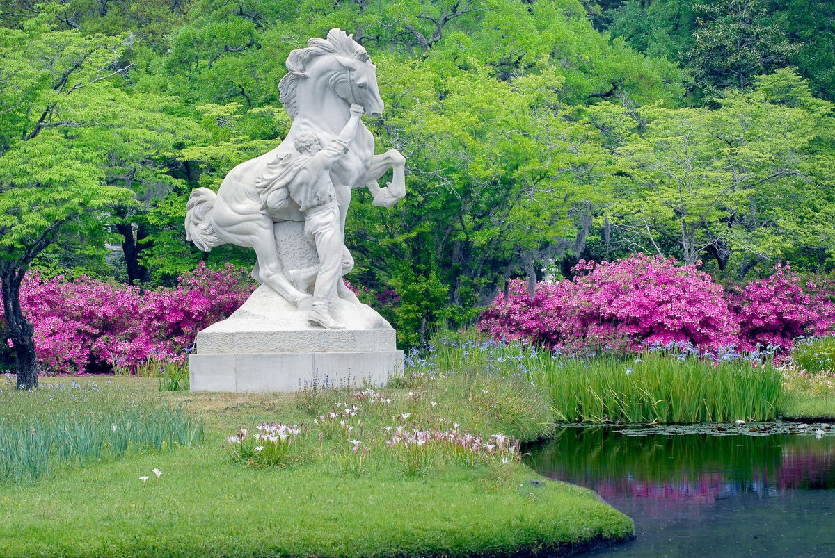 We don't mean to brag, but spring looks good on us! This is a fantastic season to be in the Gardens. We hope to see you soon! Check out our seasonal blooms: buff.ly/4a0YdT2 #BrookgreenGardens #BotanicalGardens #Spring #SpringIsHere #Springtime #Blooming #SeasonalBlooms