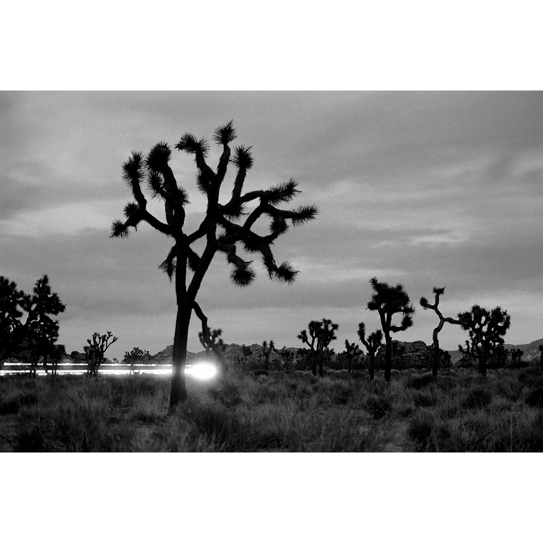 KodakProFilmBiz's tweet photo. Mark Yamamoto
https://t.co/IQxSoXHfLd
🎞️ #tmax100, #hie and #tmax3200
"Sharing my photography knowledge to photography students is a way to give back to future photographers."-Mark https://t.co/DuvKdLwfIT