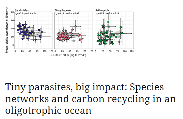 MIZ_BIOS's tweet photo. Enjoy a digested version of our paper on the marine parasite group Syndiniales, led by @seanranderson34! Thanks to @US_OCB for the highlight! 
https://t.co/JJLRdx3nrv https://t.co/qzLpdoJgZX