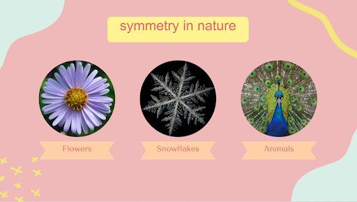 Paige Kiser of The Library Station in Springfield, MO, designed her Beautiful Symmetry STEAM Explorers workshop with great empathy for different types of learners. Check out her reflections and adapt her beautiful slides for your own library program 👉 buff.ly/4a51nFa