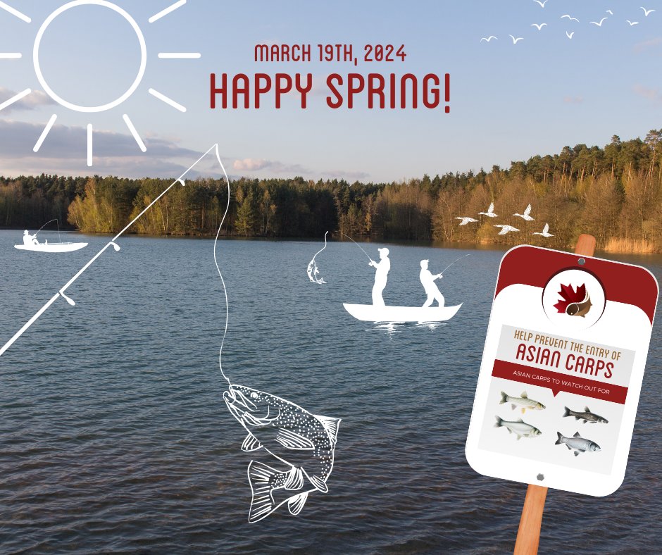 Happy First Day of Spring! Planning any spring fishing trips? Don't forget to bring along a copy of the Grass Carp Identification &amp; Reporting Guide! asiancarp.ca/grass-carp-ide…