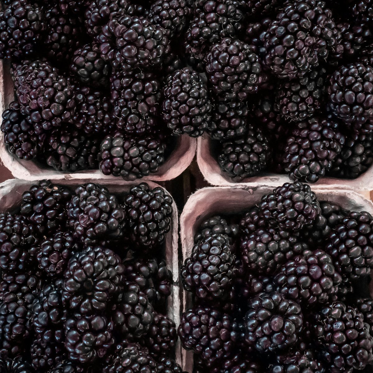 The sun is shining, the birds are chirping, and the berries are berry-ing! This week we snagged some extra blackberries from a farmer who grew too many and couldn’t find them a home. These are perfect in yogurt, smoothies, or just on their own!