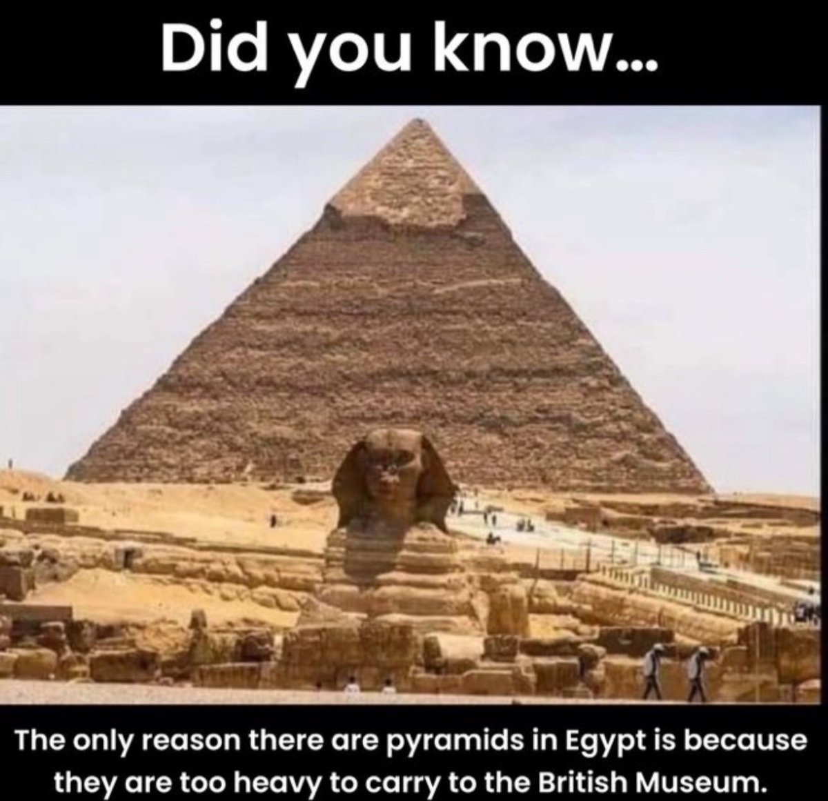 Out of Context Human Race (@nocontexthumans) on Twitter photo 