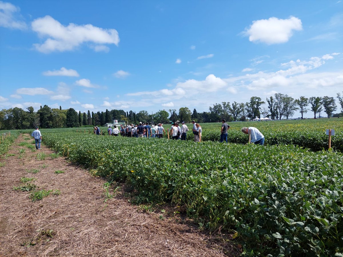 ASASemilleros's tweet photo. En el marco de los 40 años de PROSOJA, se realizó la gira anual de RECSO, red de evaluación de cultivares de soja bajo convenio de vinculación tecnológica ASA INTA. ¡Muy productiva y enriquecedora jornada, gracias por la invitación!.

#Semillas #Campo #Soja #Cultivares https://t.co/Xp2vQg76bQ