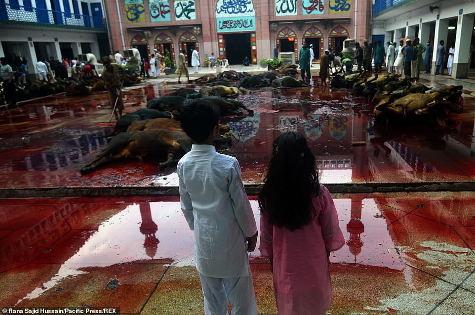 MumukshuSavitri's tweet photo. Holi is the festival of beasts, Ramadan is the festival of peace

Vegetarianism is casteist, Halal is humane choice

Hanuman Chalisa in shops is offensive, Namaz on roads elevates culture 

Tejasvi Surya is a hatemonger, Owaisi spreads Bhaichara

Rules of Dhimmitude 101 in 2024. https://t.co/7IL3R3Rlyv
