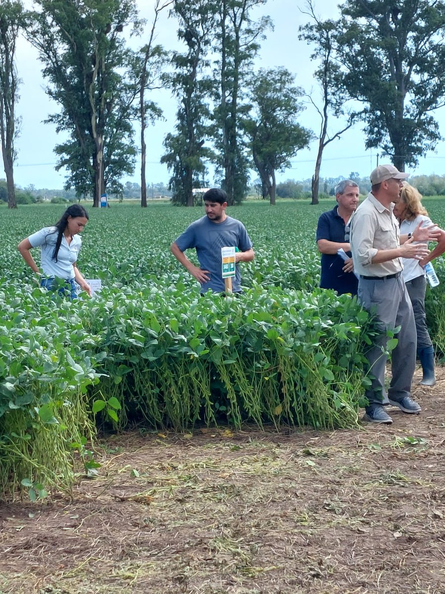 ASASemilleros's tweet photo. En el marco de los 40 años de PROSOJA, se realizó la gira anual de RECSO, red de evaluación de cultivares de soja bajo convenio de vinculación tecnológica ASA INTA. ¡Muy productiva y enriquecedora jornada, gracias por la invitación!.

#Semillas #Campo #Soja #Cultivares https://t.co/Xp2vQg76bQ