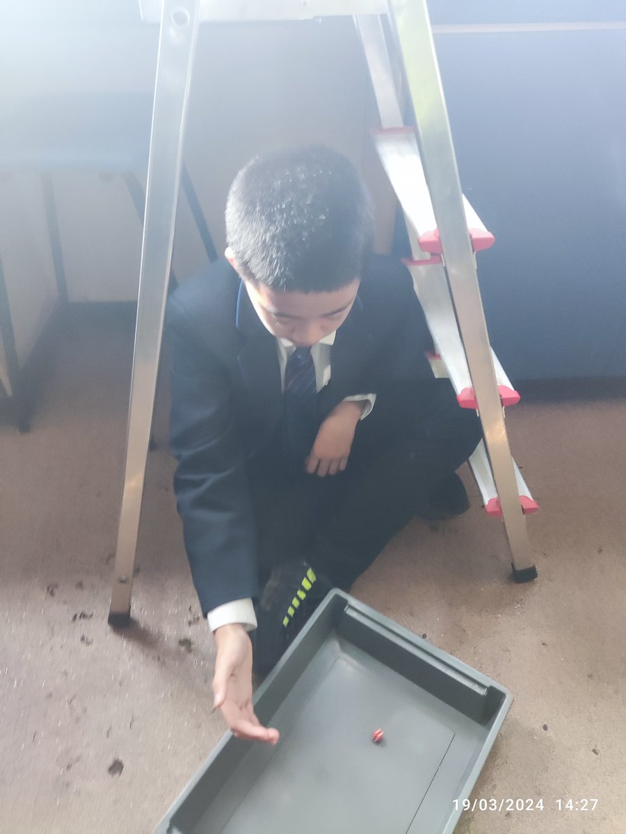 ClywedogScience's tweet photo. Year 8 attempt to scientifically prove if walking under ladders or opening an umbrella indoors is a cause of bad luck.  Wish us luck!!!!!! https://t.co/XGFwUuLabc