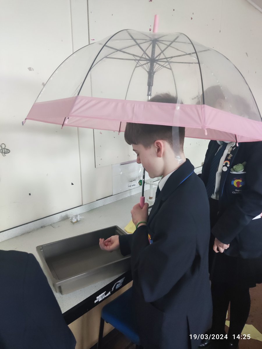 ClywedogScience's tweet photo. Year 8 attempt to scientifically prove if walking under ladders or opening an umbrella indoors is a cause of bad luck.  Wish us luck!!!!!! https://t.co/XGFwUuLabc