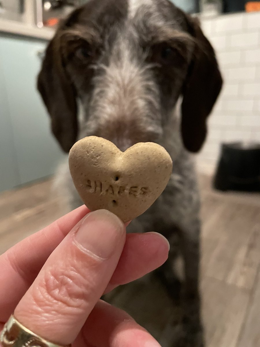 She loves me @purina #itsadogslife #shapes #winalot #heart #love #goodgirl #dogtreat #dog #dogsofinstagram #bestlife #dogsoftwitter