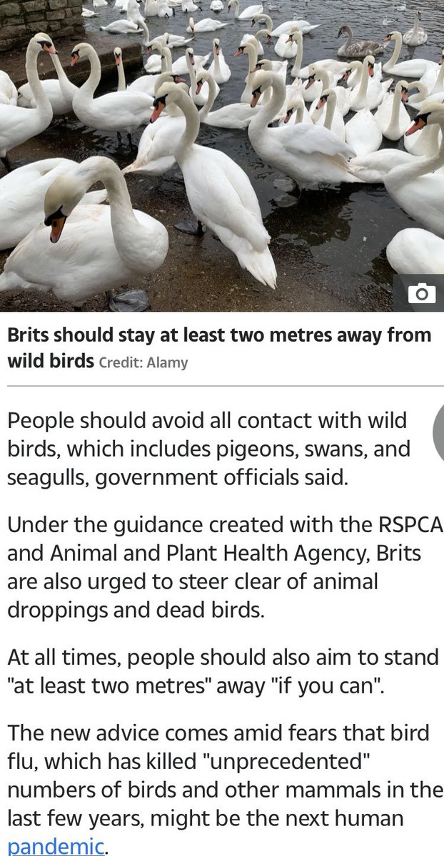 StopPandemics tweet media