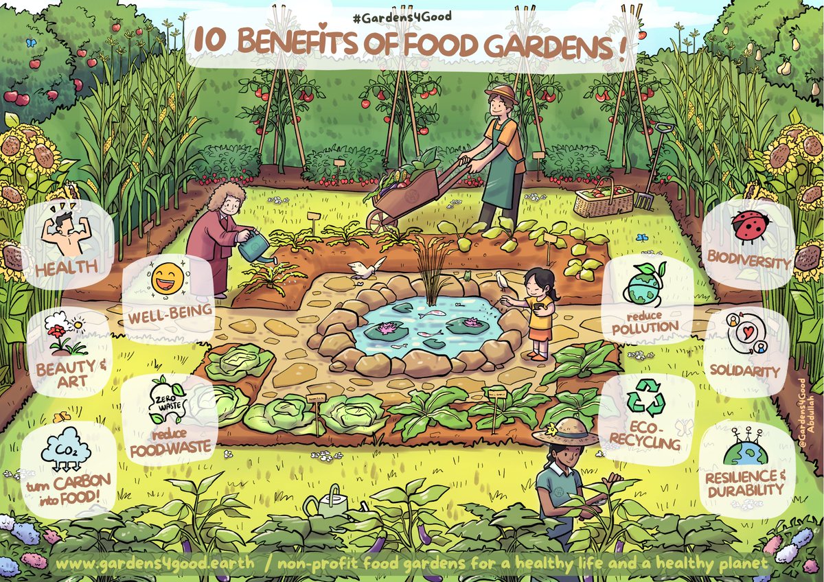🌻 Spring is the perfect time to enjoy 10 amazing benefits of food gardening! 🍓🫐🥕🍅🌿💪🌎🌼 🐝💚 #Spring #FoodGardens #Happiness #HealthyLiving #HealthyPlanet #Beautiful #Gardens4Good #PlanètePotager #EITcommunity #NEB