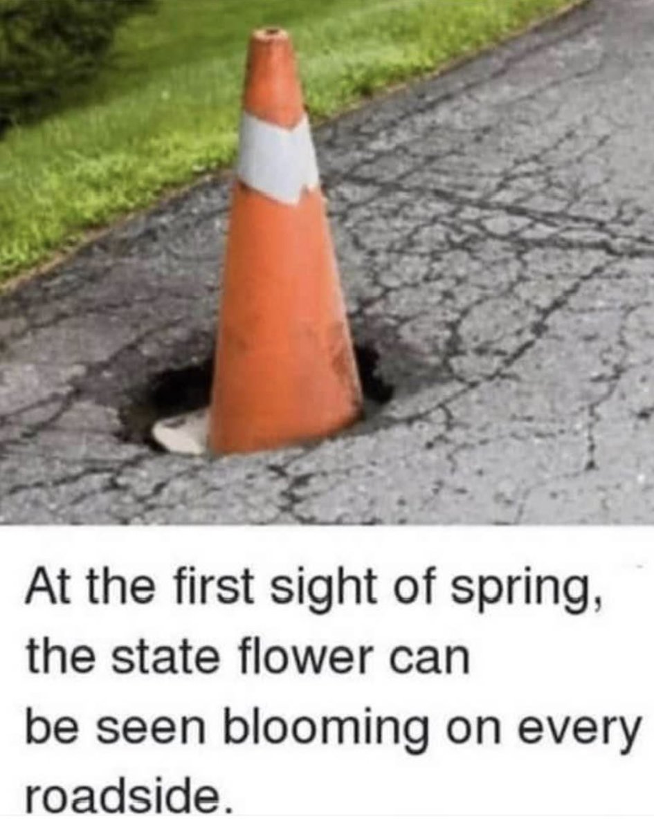 I’d wager it’s every state’s flower!