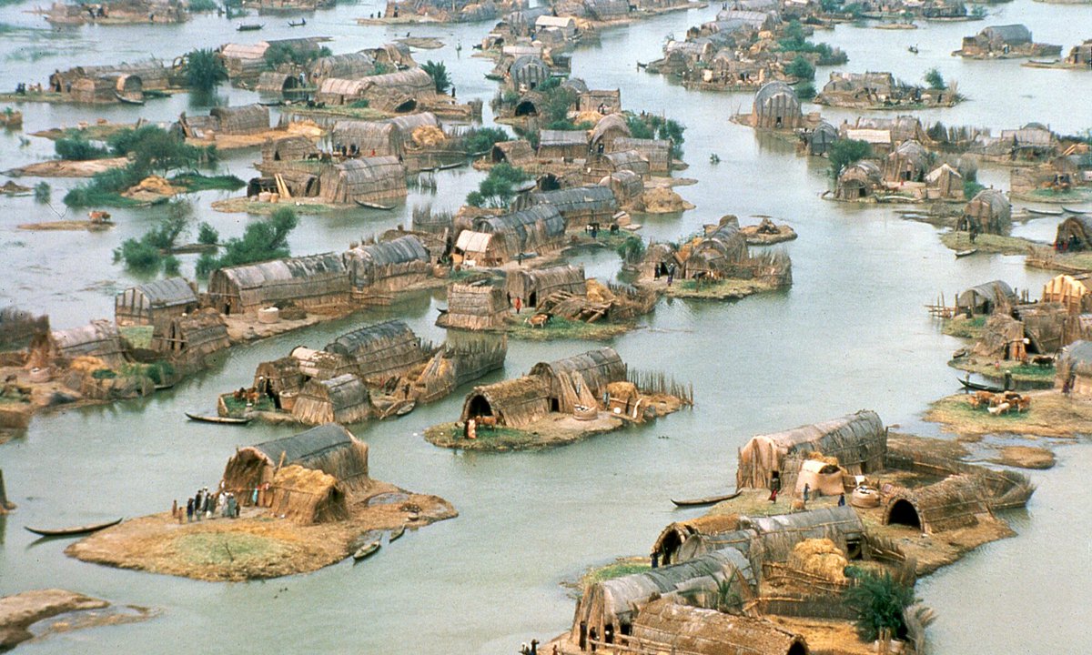 The culture of Marsh Arabs is very interesting. These are people of mysterious origin who inhabit the marshes in southern Iraq and live in traditional reed houses. There used to be much more of them.