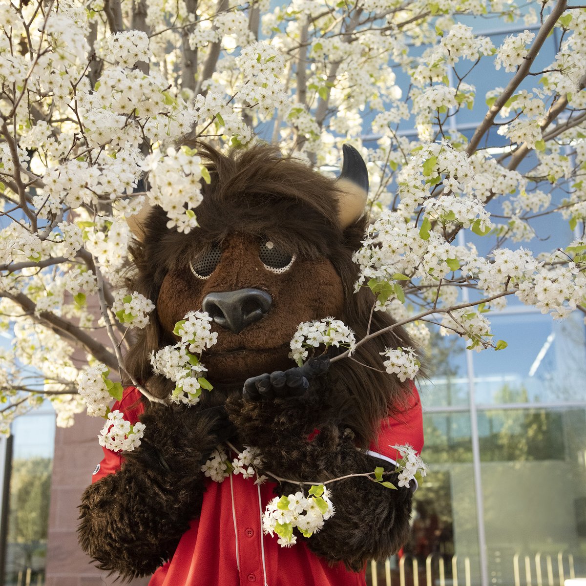 Who needs April showers when March already has the flowers? Campus is BLOOMING, Trailblazers! Happy first day of spring!