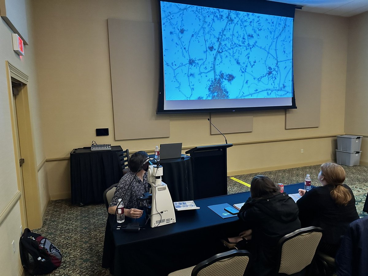 Stella_PedMicro's tweet image. A #SCACM workshop underway with the great Shawn Lockhart sharing his knowledge with microbiologists #SCACM2024 #funfungi