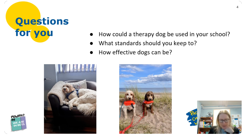 2. Therapy Dogs in school - Kay Stordy, @FraminghamEarl