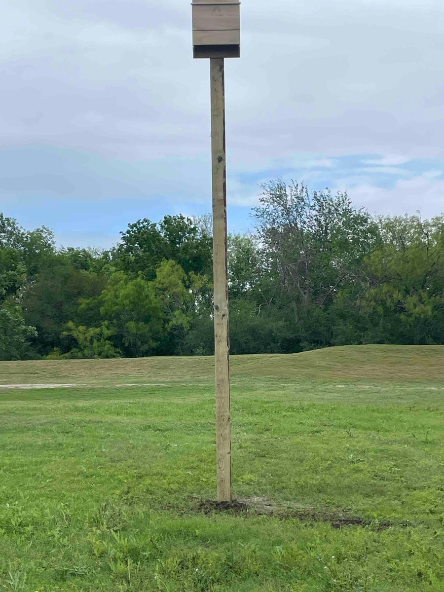 AlamoCityGolf's tweet photo. Weโre installing 4 new housing units to attract up to 2,000 mosquito eating bats to Mission del Lago! Did you know ONE bat can eat up to 1,000 mosquitoes per hour?
#AllNatural #NoChemicals #GolfMissionDelLago #BatHouses #LessMosquitoes https://t.co/FcwEKSsWFj