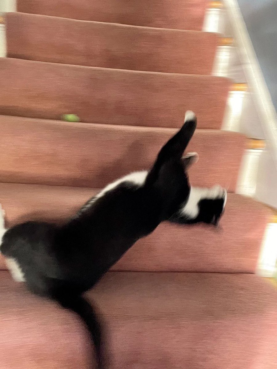 сниться что споткнулся

я в кровати: