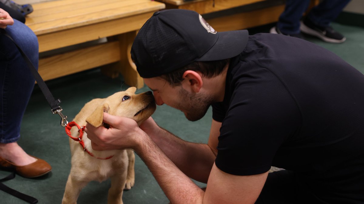 TheHersheyBears tweet picture