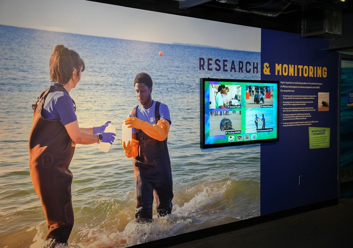 Attention, Connecticut! You can now visit @mysticaquarium's expanded Renewable Ocean Energy exhibit, which looks at how #offshorewind farms interact with sea creatures (spoilers: safely). Learn more: revolution-wind.com/news/2024/03/m…