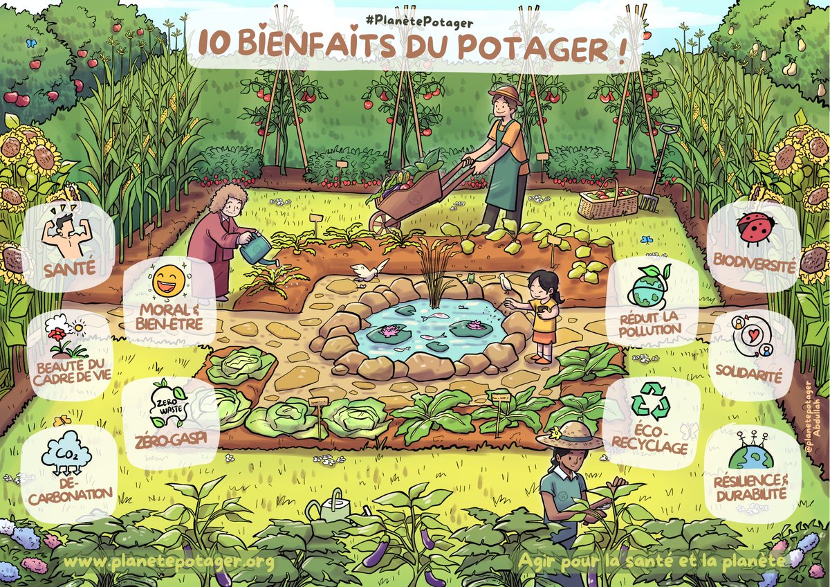 🌻 Le printemps est la saison parfaite pour découvrir 10 incroyables bienfaits du potager :) 🍓🫐🥕🍅🌿💪🌎🌼 🐝💚 #Printemps #Potager #Bonheur #Santé #HealthyPlanet #Beautiful #Gardens4Good #PlanètePotager #EITcommunity #NEB