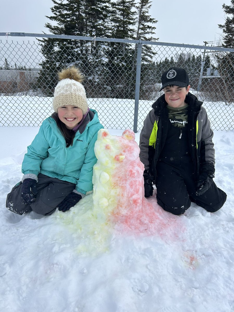 Our grade 4/5 class at CRA enjoyed the sunshine today! We were able to #DartOutdoors to make some snow sculptures! <a href="/school/">@school</a> sportsnl ool