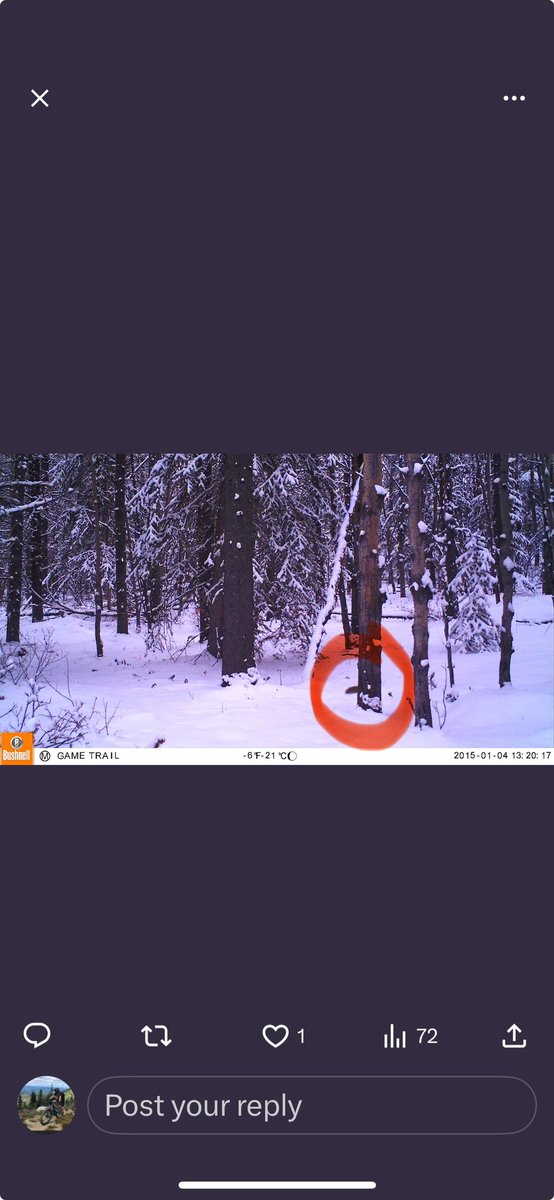 Meredith Angel tweet media