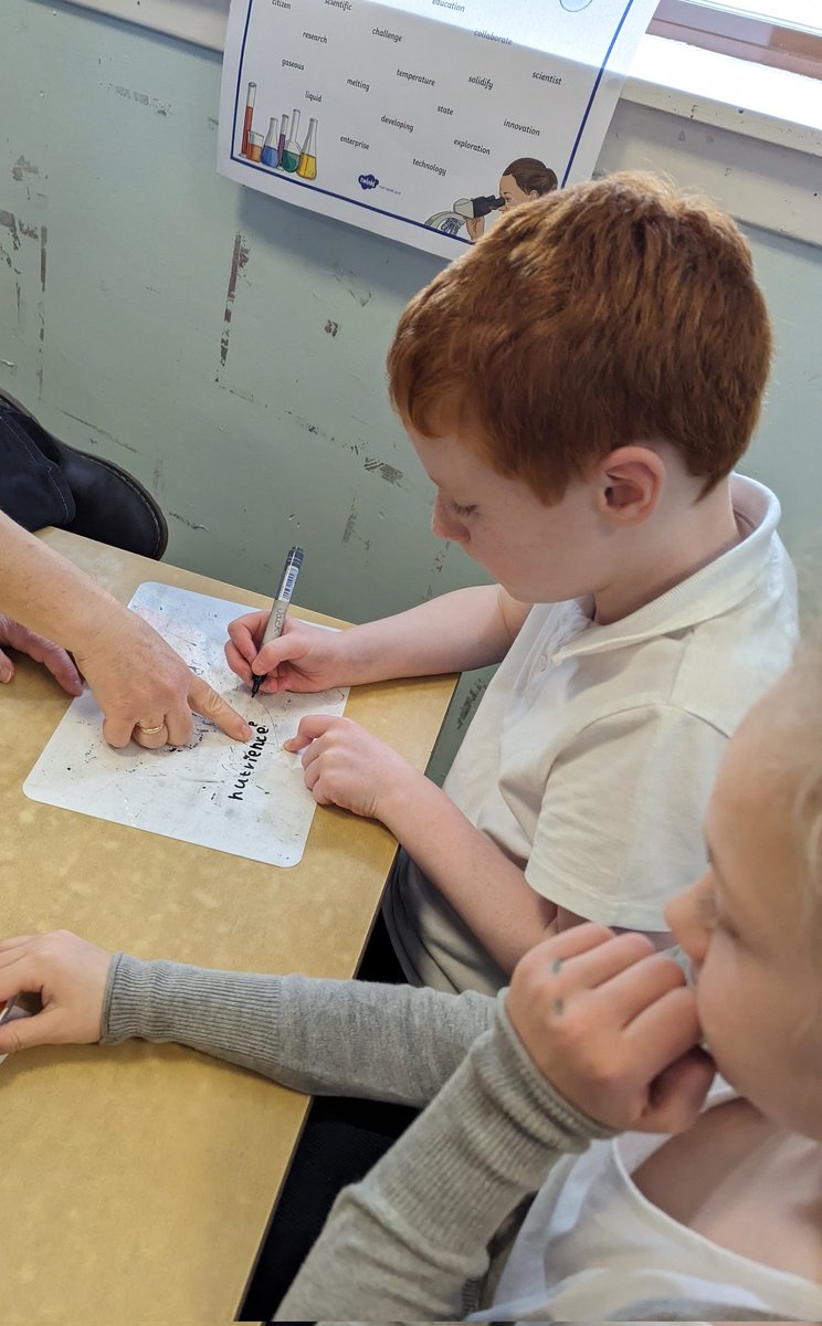 MrsCoyle2024's tweet photo. Today in Literacy we had to apply different spelling strategies, transfer learning, communicate with our peers and utilise all literacy resources to decide on the correct spelling 🌟🌟🌟 https://t.co/42aDzQ3eAP