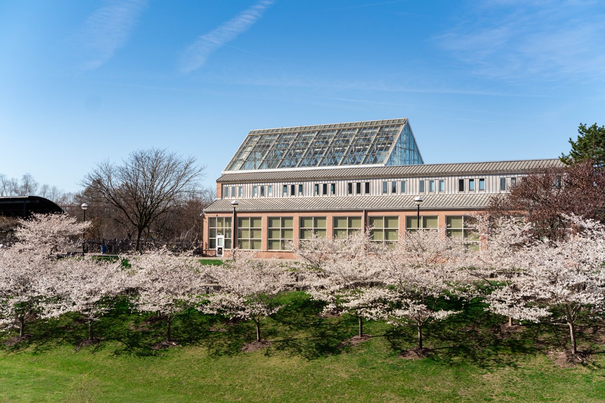 WhiteRiverStPrk's tweet photo. Spring has officially sprung with the blooming of our Japanese Yoshino cherry blossom trees.

In 2012, Indy was gifted 52 trees from Japan to celebrate the enduring friendship between the United States and Japan. Come see them on the west side of the Old Washington Street Bridge! https://t.co/5J55IuKbzf