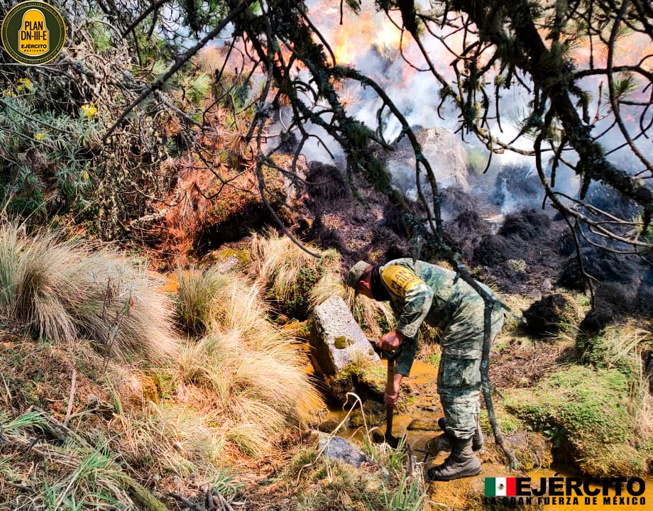 Tu #EjércitoMexicano presente, aplicando el #PlanDNIIIE sofocando un incendio en el “Parque Ecológico Izta-Popo”.
#UnidosSomosLaGranFuerzaDeMéxico
#37ZonaMilitar
#SiemprePorTiSiemprePorMéxico