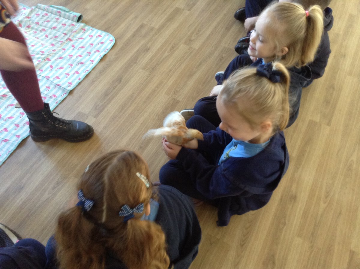 BPSHull's tweet photo. 1JP were very excited to welcome some special visitors into school today. They have inspired us to write some amazing alliterative poetry about spring! π₯#BPSWriting https://t.co/homL3fXQWI