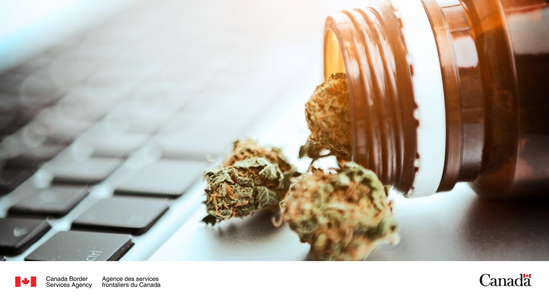 Canada Border Services Agency on X: &ldquo;Did you know that, under the 