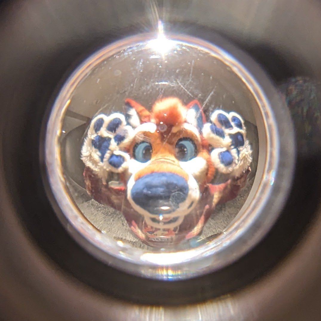 Oregon_Ash's tweet photo. ERMM...hello?👁️ Are you not going to let me in?
-
📸: WisdomToast
🌎: Anthro Northwest 2024 | Seattle, WA
🧵: DarkAsNightCreations
-
#AnthroNorthwest #AnthroNorthwest2024 #ANW #ANW2024 | #PNWFurry https://t.co/uqJ3mSwzt8