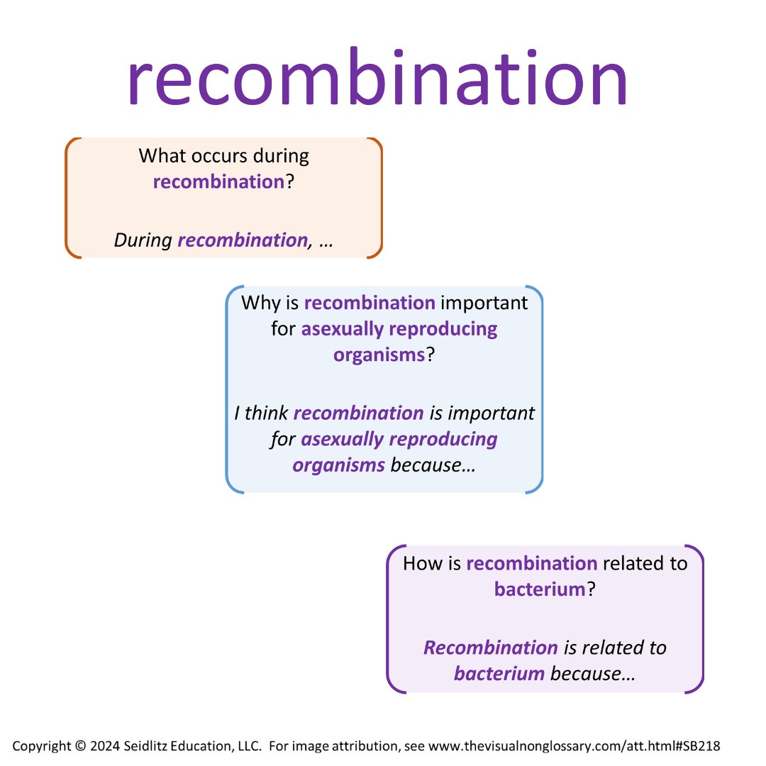 VNGvisuals's tweet image. Think you don't know anything about Recombination? Think again. #STEM #ScienceVocabulary #AcademicLanguage