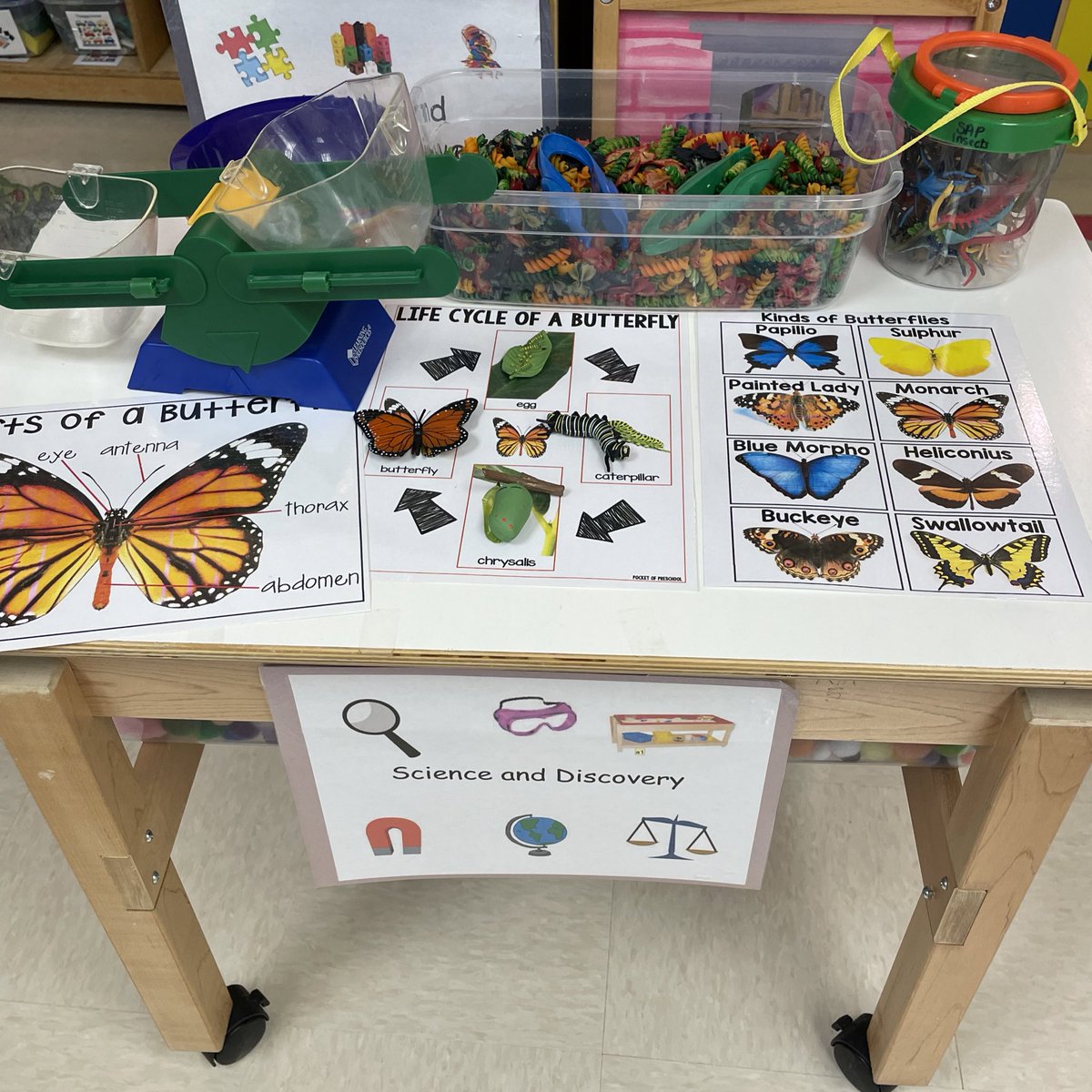 Sarah Scrivens, M. Ed. tweet media