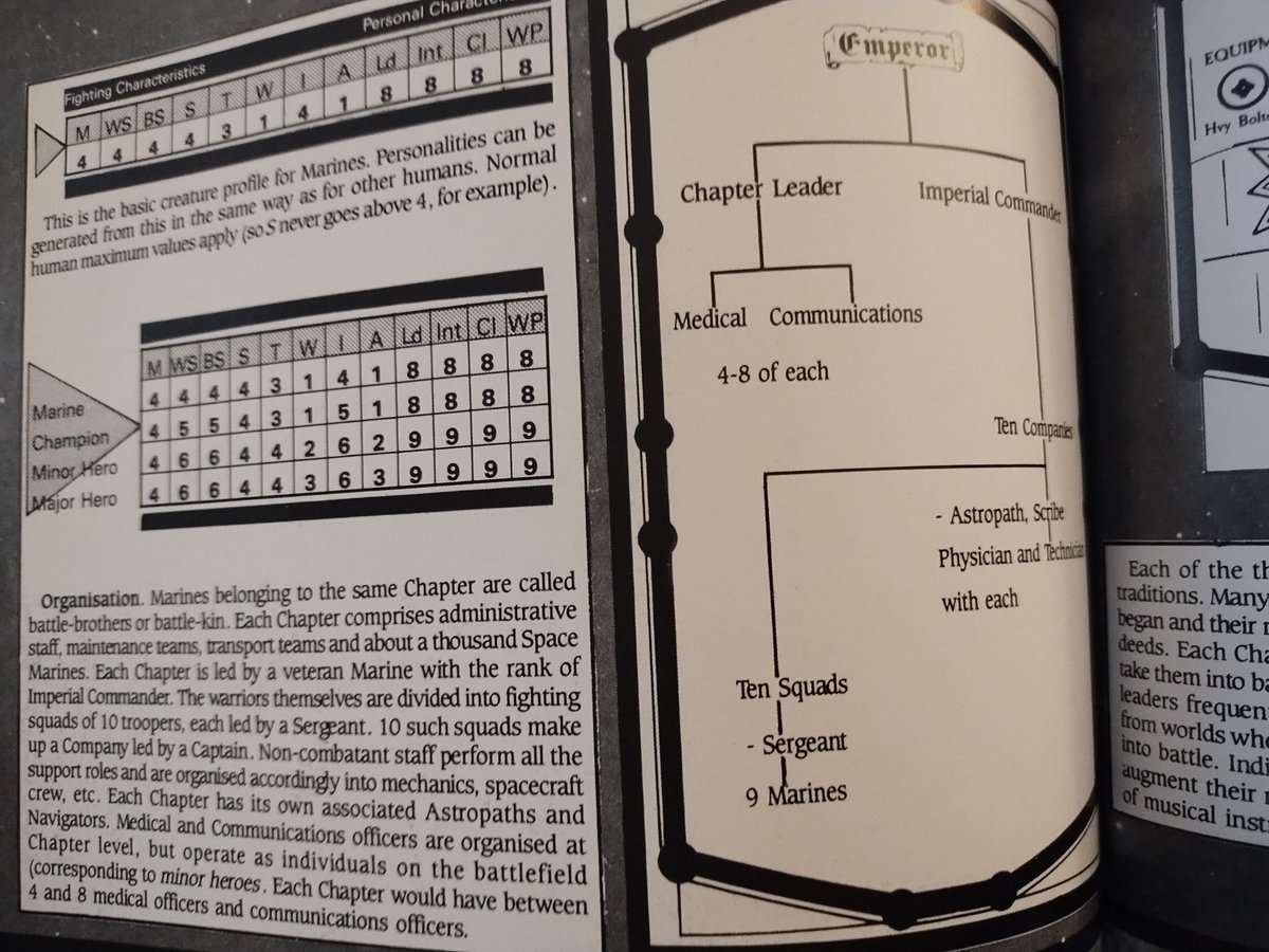 Demon_Fae_Shae 🏳️‍⚧️ 🔆 tweet media