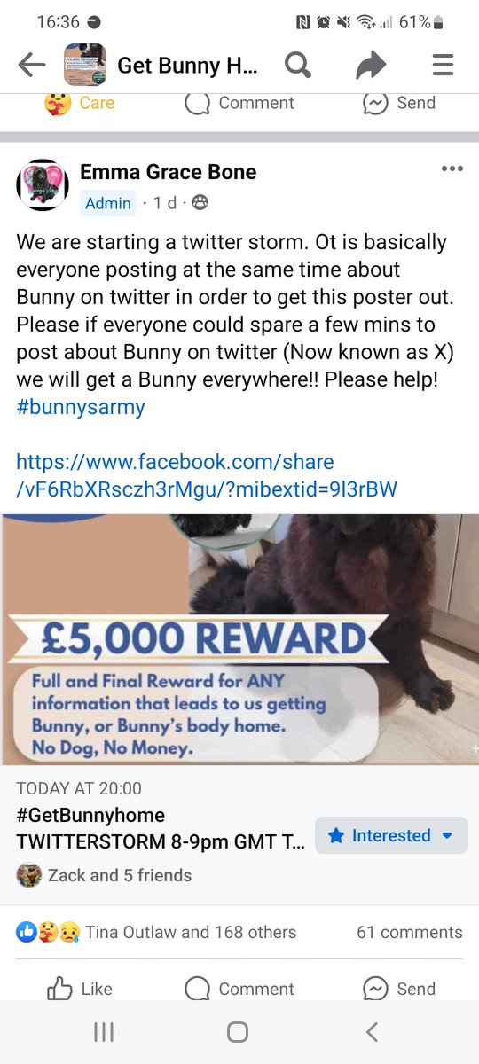 #GetBunnyhome #BunnysArmy