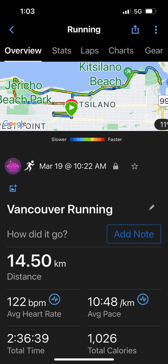 SunRunner96's tweet image. Nice 14.5km run in the sun ☀️ 🏃‍♀️💕 👣 #LoveRunning #RunningIsMyHappyPlace #HalfMarathonTraining #10,000Steps