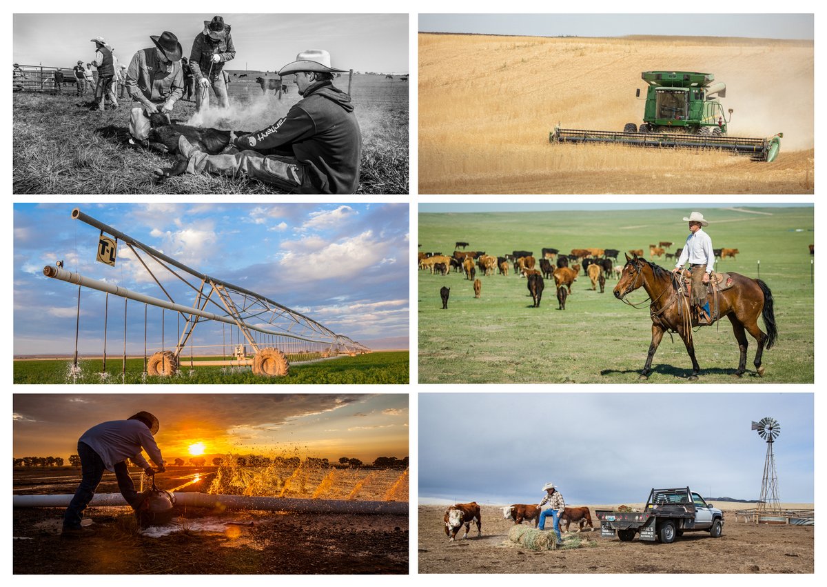 Happy National Ag Day! Thank a farmer and rancher today!  #NationalAgDay #thankafarmer #thankarancher #agriculture #ranchers #westernlife #westernlifestyle #agriculturephotography #ranchphotography #farmphotography