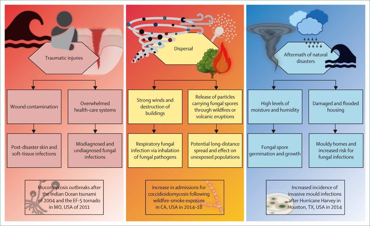 GermHunterMD tweet picture