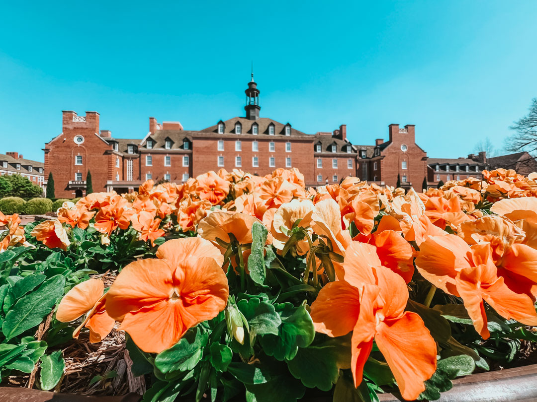 *obligatory first day of spring post* 😎🌼🧡 #okstate #gopokes