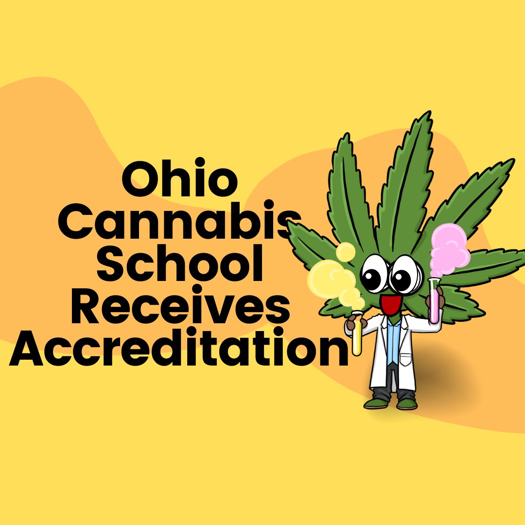 Ohio Cannabis School achieves accreditation, setting standards for industry education. 🎓🌿 #CannabisEducation #Ohio #IndustryStandards