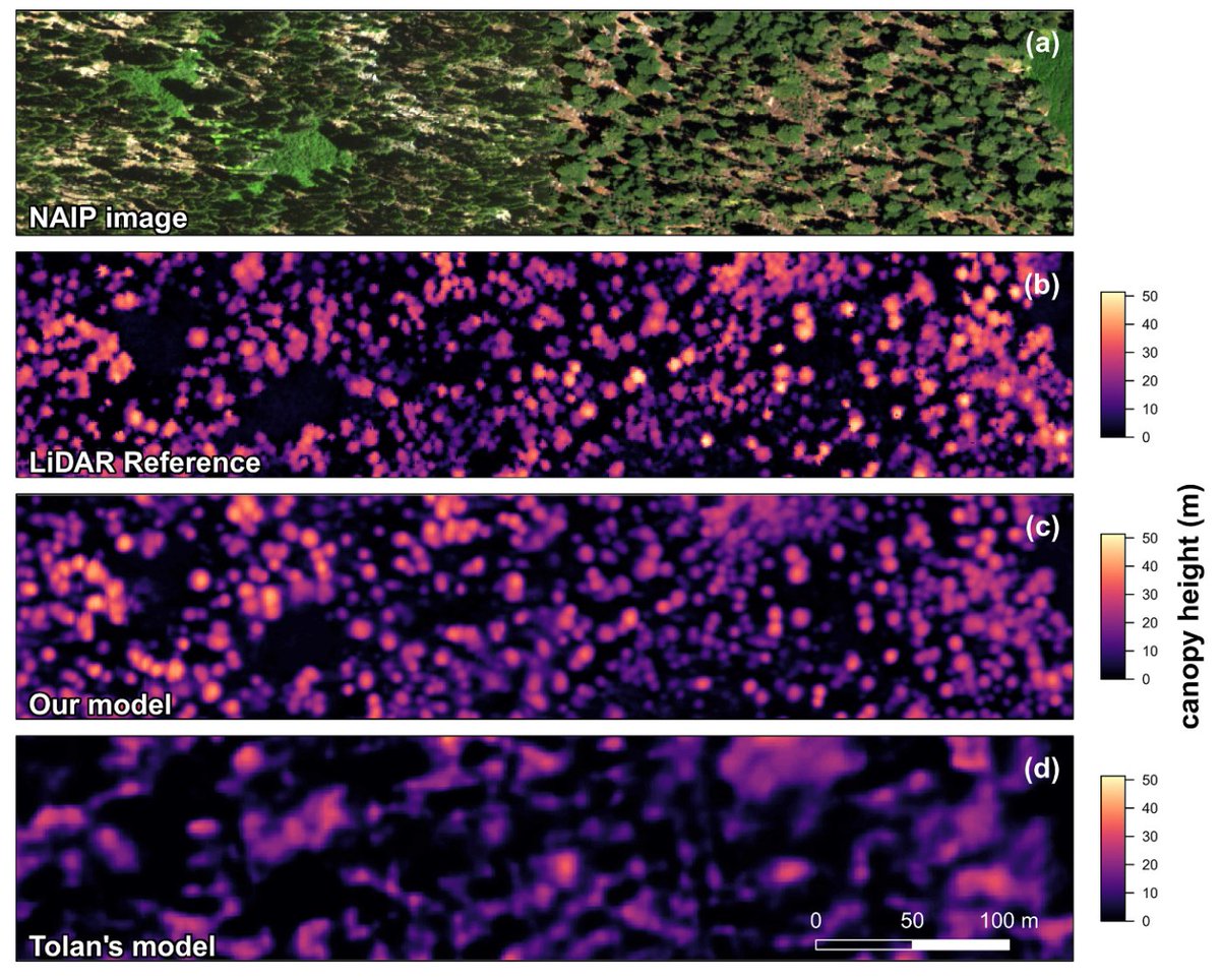 📢🌳New paper led by @FabienWagner in RSE on tree's height mapping over California with #DeepLearning I really like Fig 7 : it clearly shows how the model predicts height based on optical imagery very close to LiDAR even on STEEP terrain - crazy! 😮 doi.org/10.1016/j.rse.…