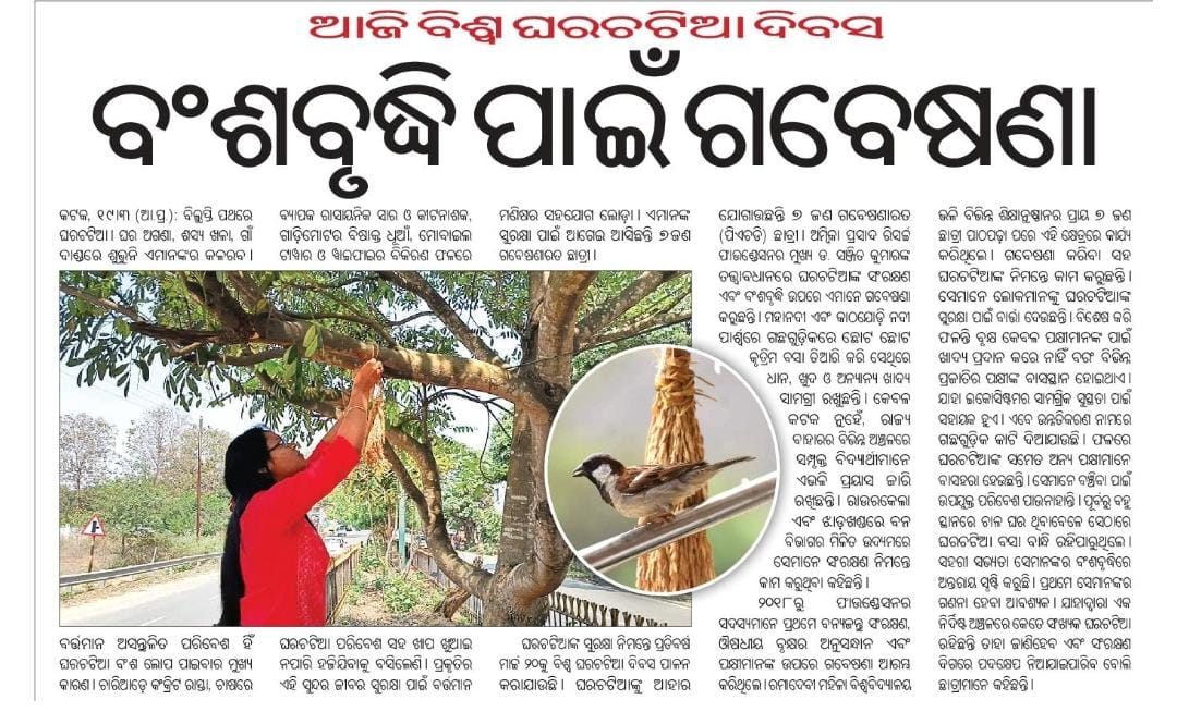 Specially for Cuttack and all birds & nature lovers 
#cuttackdm #CMO_Odisha #MoEFCC #cuttack #sparrows #Environment #conservation #ConservationEfforts #UNDP #ifsofficer 
#Damu #Cuttack @Vkpandianfancl1 @CMO_Odisha @PMOIndia @pccfodisha @IUCN_forests @CuttackDM