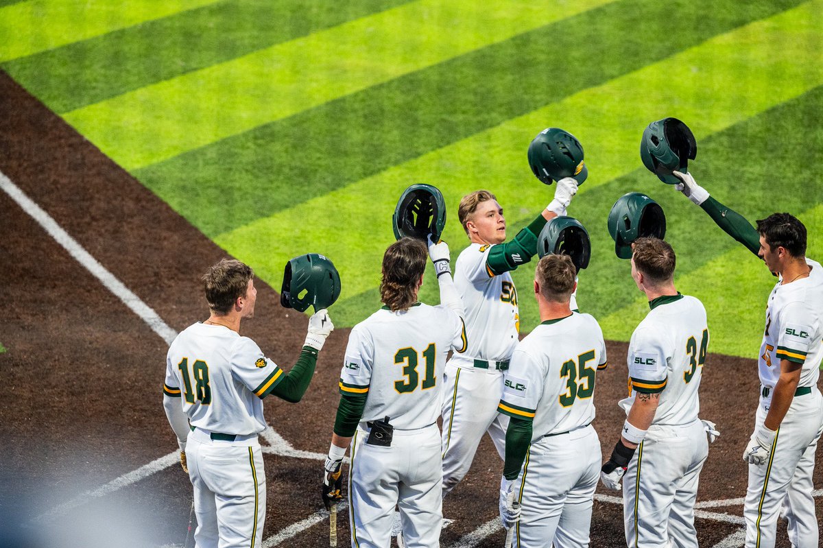 LionUpBaseball tweet picture