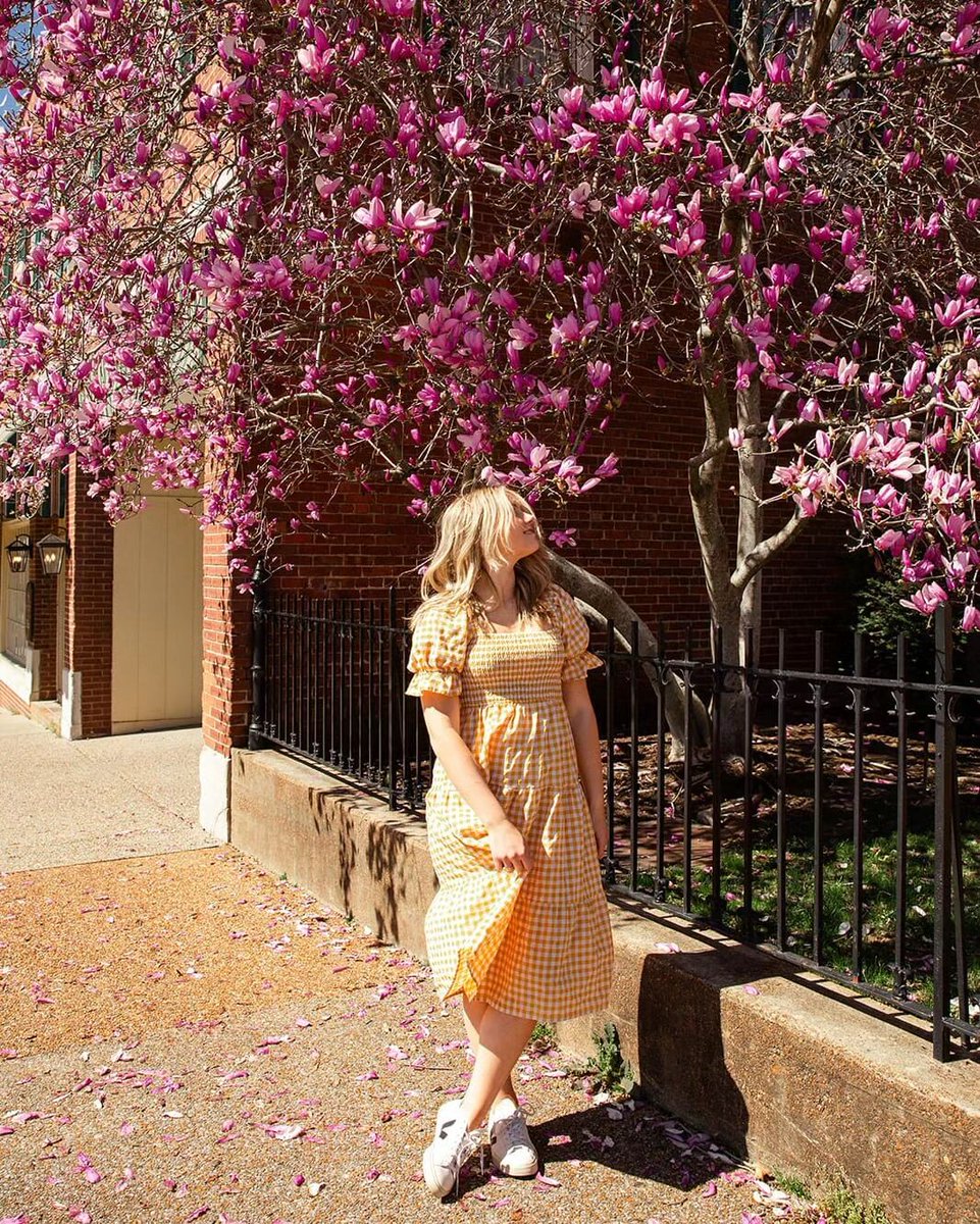 Happy First Day of Spring! 🌷🌿☀️🦋🌈 What are you most looking forward to this season? Visit our website to get ideas for parks and trails, outdoor dining, and spring events. visitclarksvilletn.com 📍: 213 Main Street 📷 IG: claudia_mariephotography