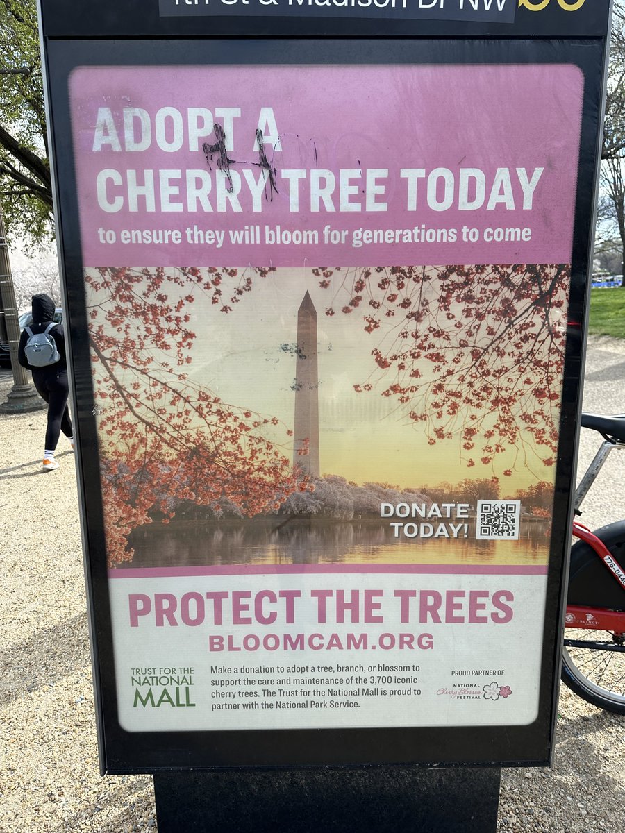 Cherry Blossoms need some help! #bloomcam