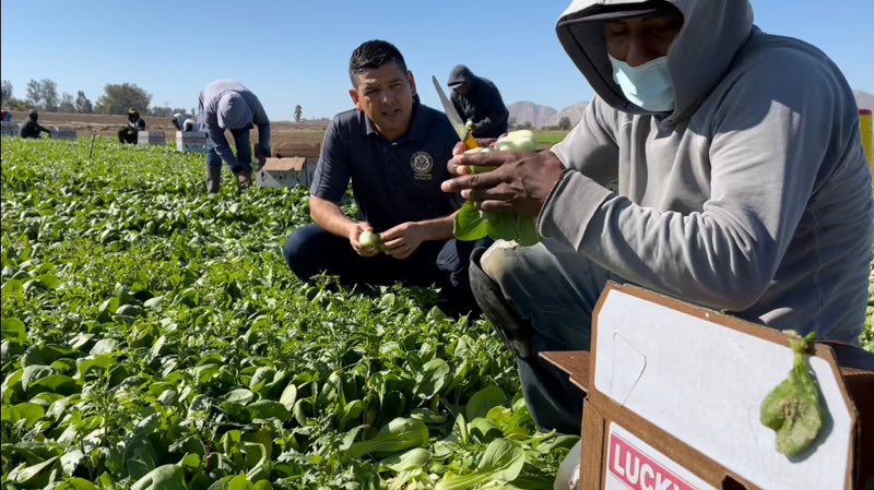 Happy National Agriculture Day!🌎🌾 Today, as we celebrate the agriculture industry I would like to highlight the California’s 25th Congressional District as a leader in produce production for the nation! @nationalagday #AgDay24