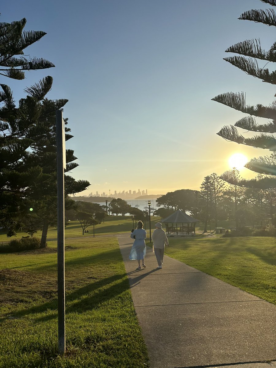 Touching some grass to cleanse my palate from all the presale rugs.

Sydney is beautiful.