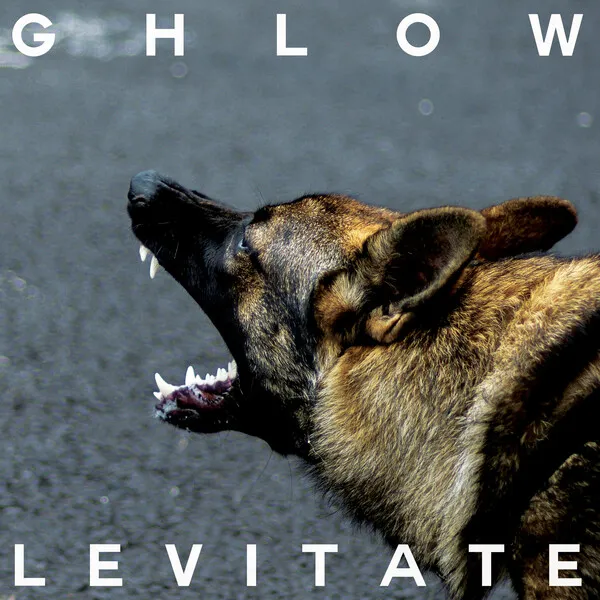 GHLOW: Levitate - ★★★

*Favorite Song

> Sparks

Other notable tracks

> Lost My Mind
> Bring It Down
> Golden
> Tricky

#GHLOW #Levitate #2024Music #NewMusic #NewRelease #PostPunk  #SynthPunk #ElectroIndustrial #PNKSLMRecordings